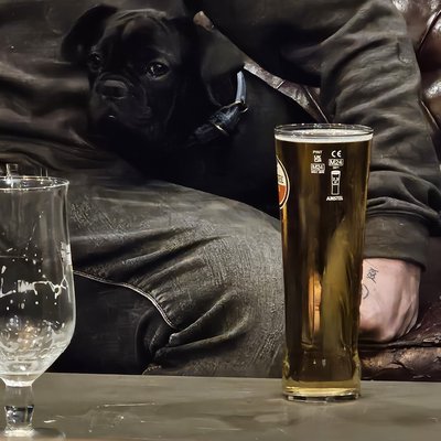 dog-pub-079-20250117.jpg